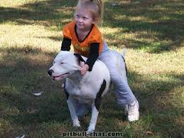 Although this dog is very tolerant, this is NOT something ANY kid should be allowed to do to ANY dog